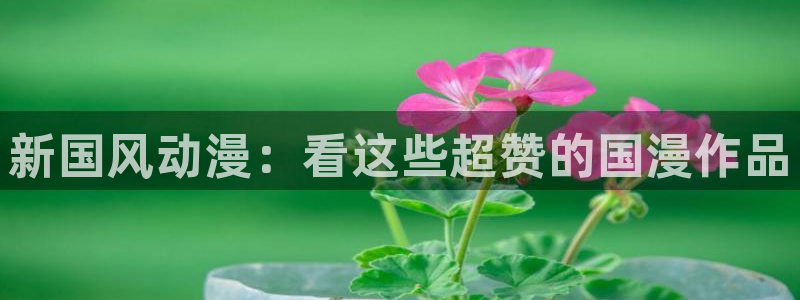 囧次元为什么打不开了：新国风动漫：看这些超赞的国漫作品