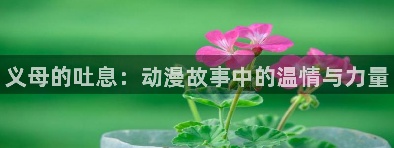 囧次元官方官网入口