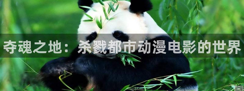 囧次元官方网页入口