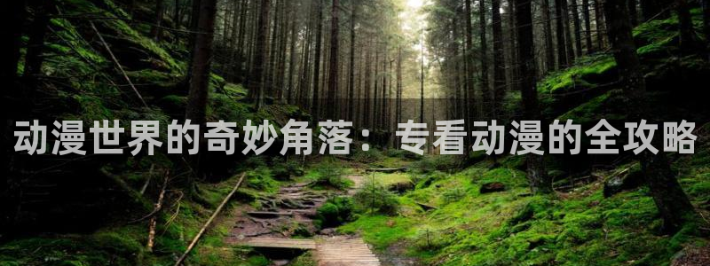 囧次元下载安装