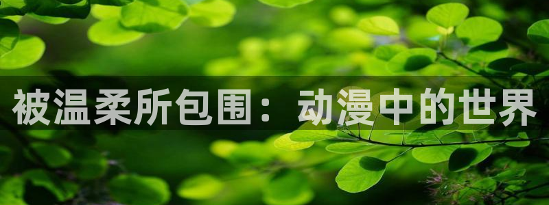 囧次元最新