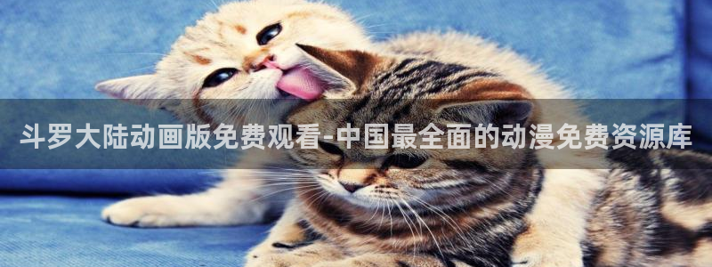囧次元官网网址最新