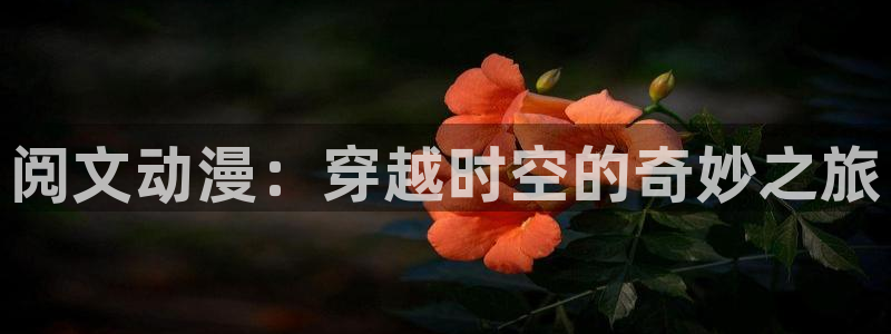 免费下载囧次元