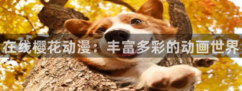 囧次元官网