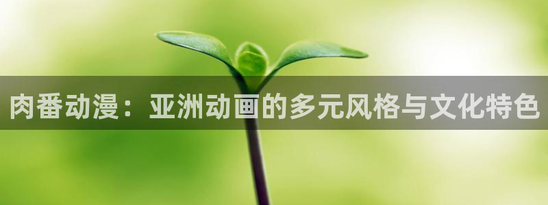 囧次元 翻译