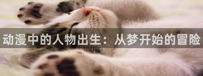 囧次元在线官网入口