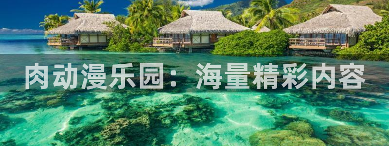 囧次元动漫官网入口