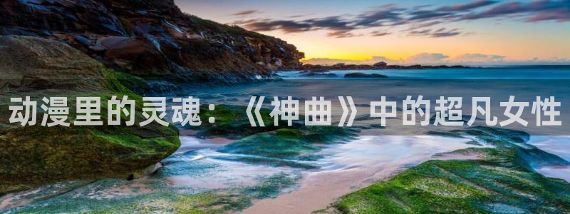 囧次元下载最新