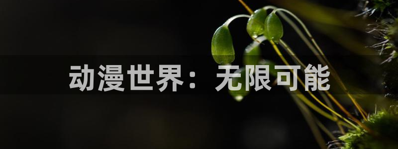 囧次元下载正版