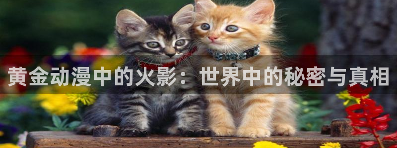 囧次元最新版本下载官方正版