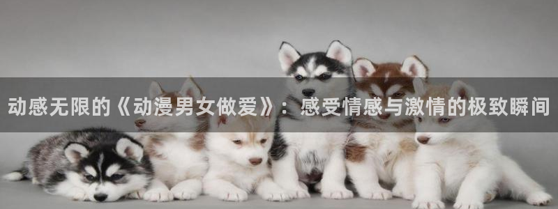 囧次元app官方入口