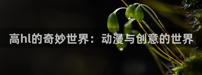 囧次元正版官网下载