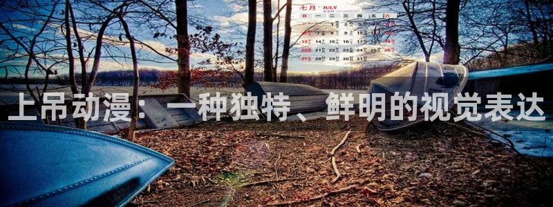 囧次元官方网站入口下载最新版本