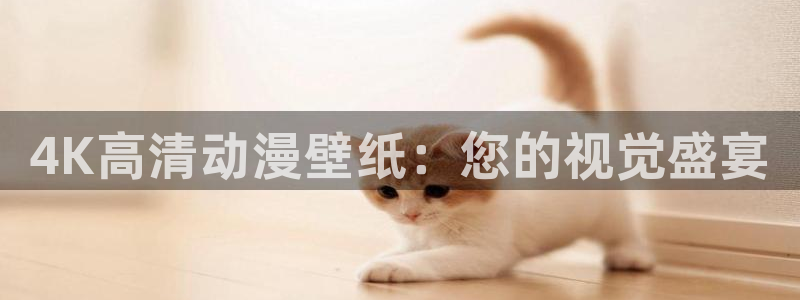 囧次元正版官方下载