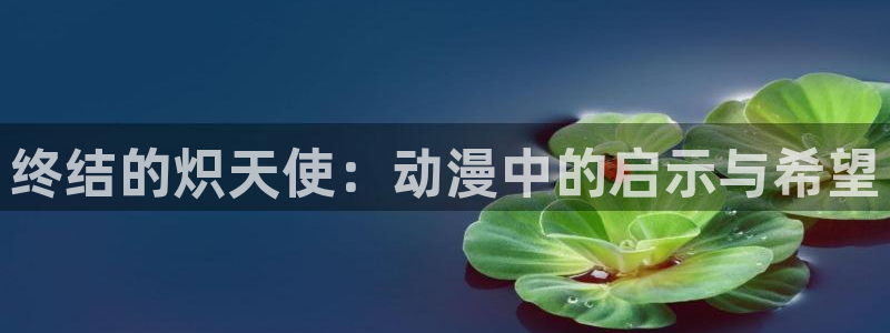 囧囧次元