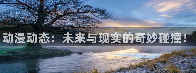 囧次元下载网站