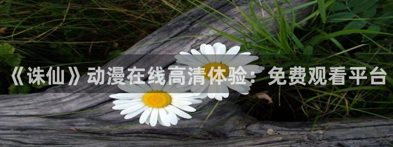 囧次元网站入口
