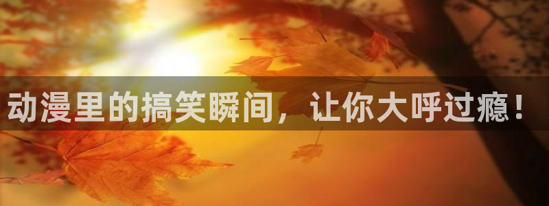 囧次元app最新版