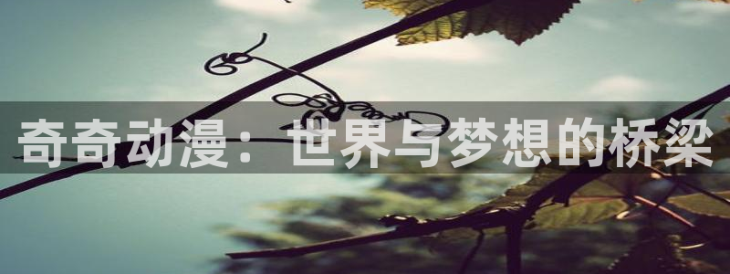 囧次元网站官网下载