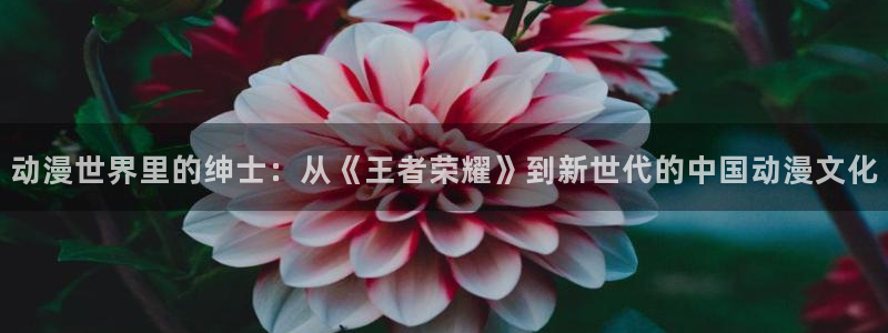 囧次元最新版官网下载
