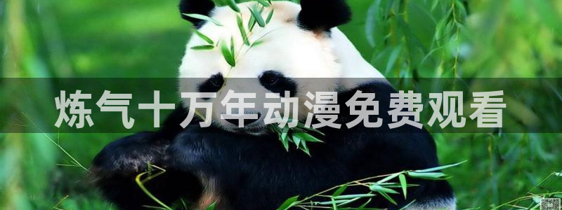 囧次元新版：炼气十万年动漫免费观看