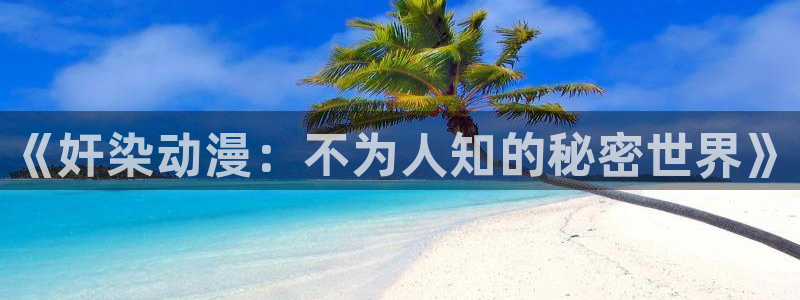 囧次元ios官网入口：《奸染动漫：不为人知的秘密世界》