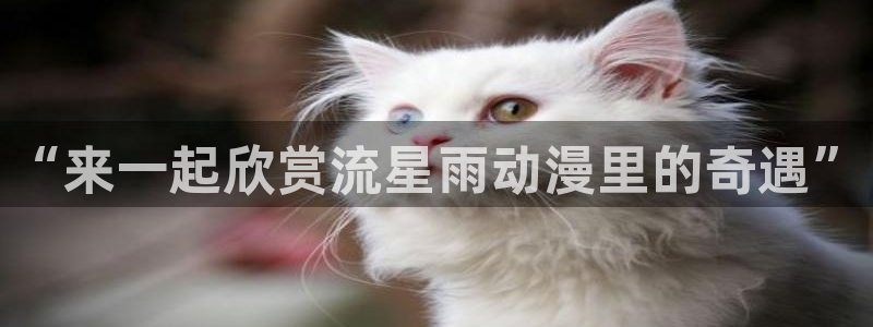 囧次元官方正版下载入口：“来一起欣赏流星雨动漫里的奇遇”