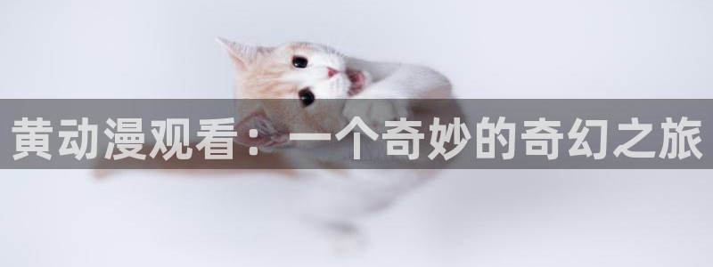 囧次元网页版进入：黄动漫观看：一个奇妙的奇幻之旅