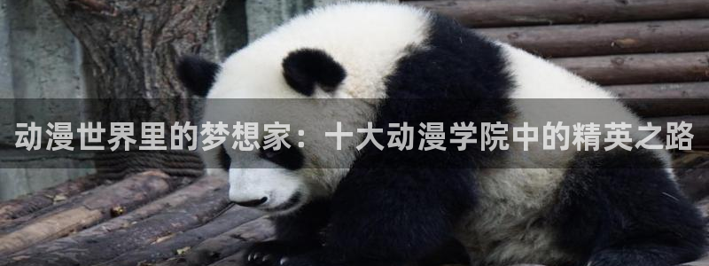 囧次元官方正版官网入口：动漫世界里的梦想家：十大动漫学院中的精英之路
