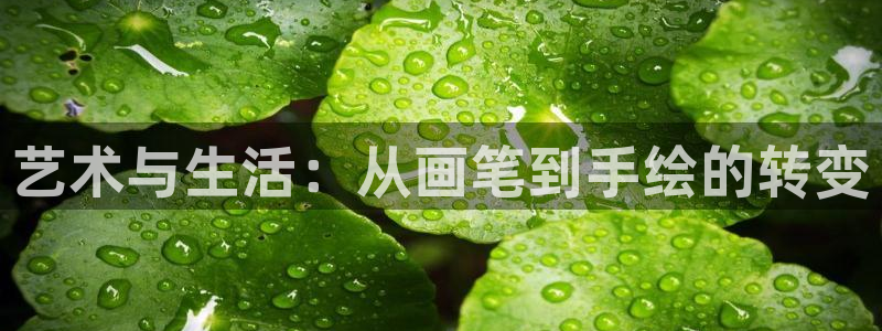 囧次元官方网站入口官网：艺术与生活：从画笔到手绘的转变