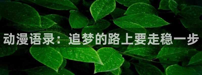 囧次元1：动漫语录：追梦的路上要走稳一步