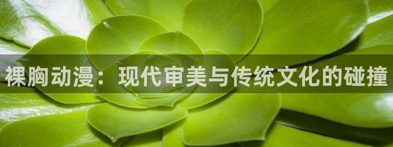 囧次元下载最新版本：裸胸动漫：现代审美与传统文化的碰撞