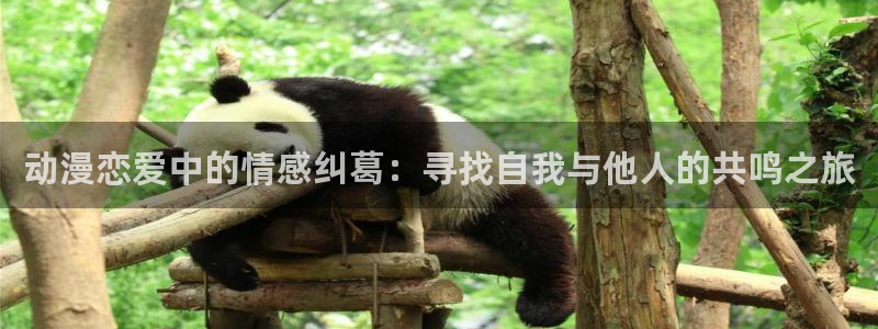 囧次元官网在线观看免费入口：动漫恋爱中的情感纠葛：寻找自我与他人的共鸣之旅
