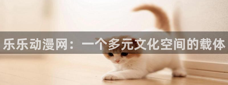 囧次元是什么：乐乐动漫网：一个多元文化空间的载体
