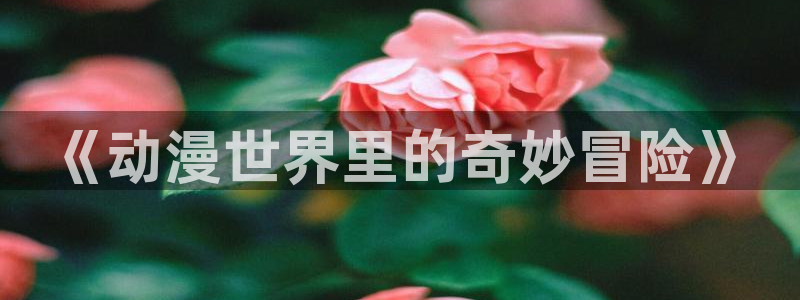 囧次元官方网站入口：《动漫世界里的奇妙冒险》
