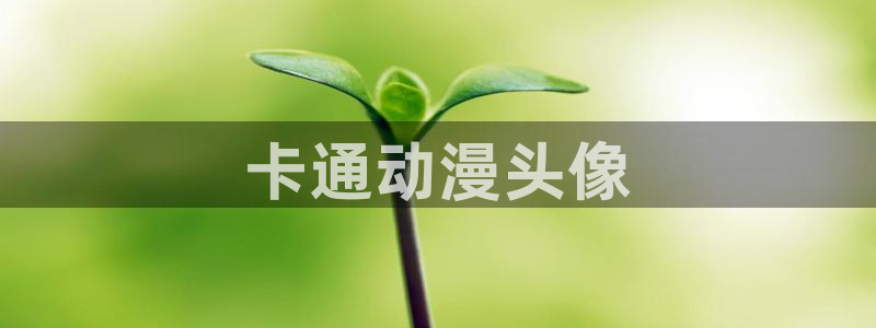 囧次元app最新版本：卡通动漫头像