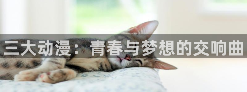 最新囧次元app下载：三大动漫：青春与梦想的交响曲
