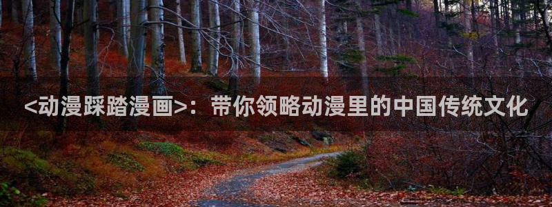 囧次元在线观看入口：<动漫踩踏漫画>：带你领略动漫里的中国传统文化