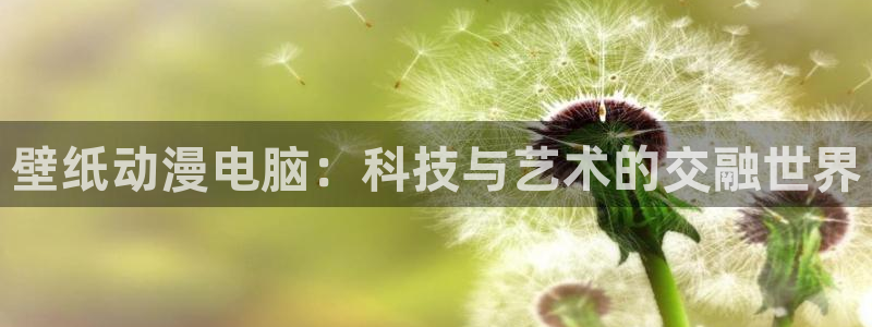 囧次元动漫官方正版：壁纸动漫电脑：科技与艺术的交融世界