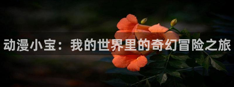 囧次元app正版下载：动漫小宝：我的世界里的奇幻冒险之旅