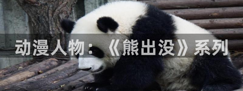 囧次元安卓版下载：动漫人物：《熊出没》系列