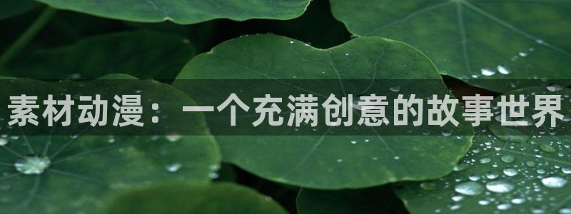 囧次元手机号注册入口：素材动漫：一个充满创意的故事世界