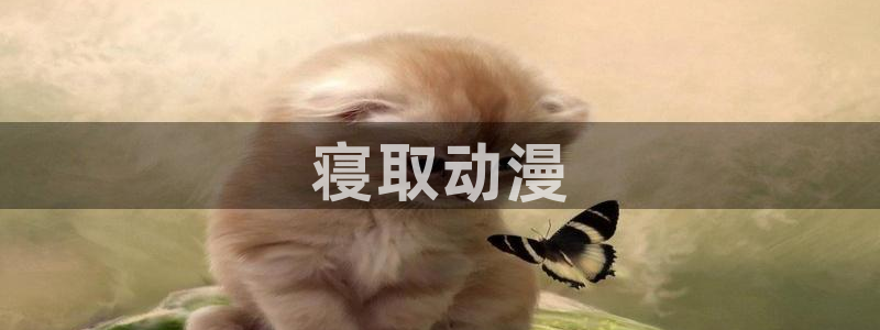 囧次元在线观看入口：寝取动漫
