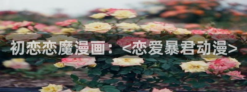 囧次元官方网站入口官网在线观看