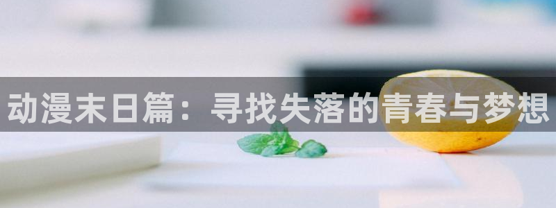 囧次元为什么打不开了：动漫末日篇：寻找失落的青春与梦想