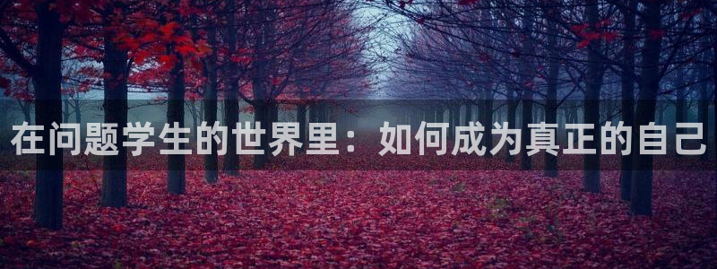 囧次元app下载安装：在问题学生的世界里：如何成为真正的自己