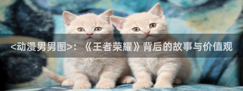 囧次元的官方网站：<动漫男男图>：《王者荣耀》背后的故事与价值观
