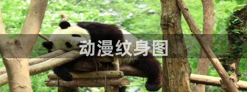 囧次元在线看：动漫纹身图
