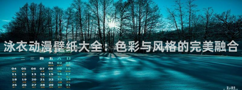 囧次元app官方正版下载：泳衣动漫壁纸大全：色彩与风格的完美融合