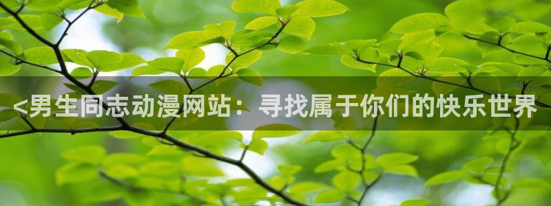 囧次元官网入口网址：<男生同志动漫网站：寻找属于你们的快乐世界
